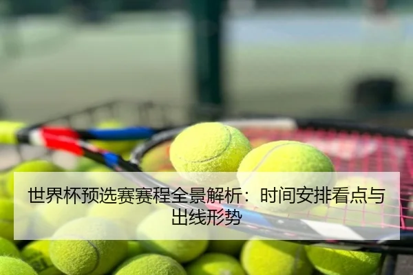 世界杯预选赛赛程全景解析：时间安排看点与出线形势