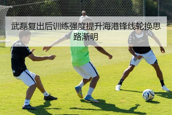 武磊复出后训练强度提升海港锋线轮换思路渐明